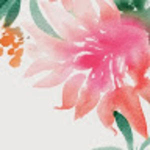 Meet your Posher, Aidan